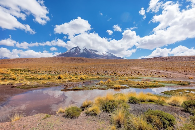 Foto picco del vulcano innevato e nuvole che si riflettono in una pozzanghera in sud america bolivia