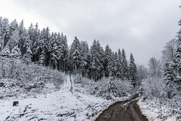 Snowy weather in the mountains