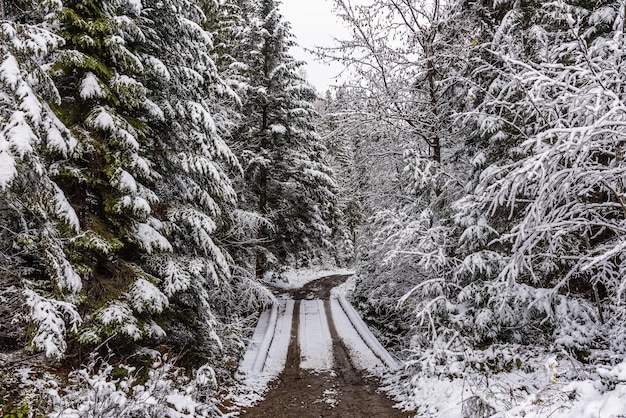 Snowy weather in the mountains