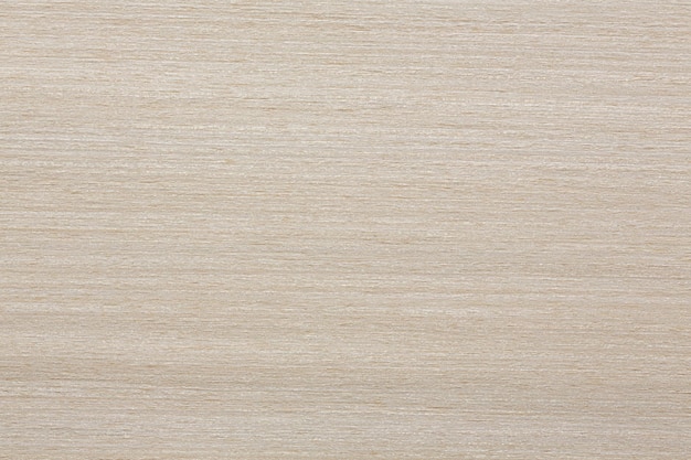 Snowy white maple veneer texture for your project