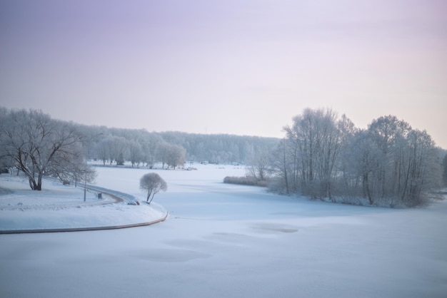 Snowy winter forest