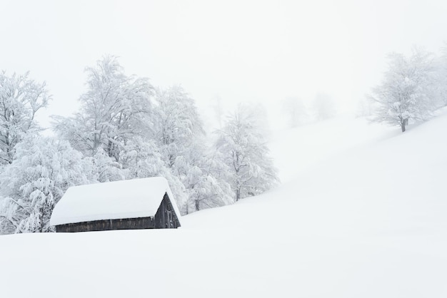 山の村の雪の冬 霧と深い雪の風景 孤独な木造の家