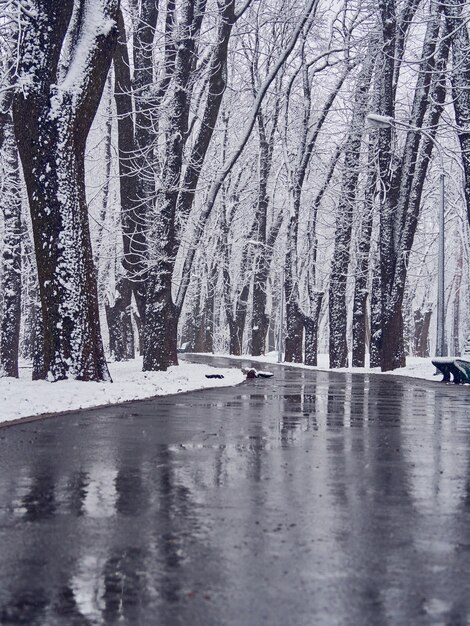 Snowy winter park with slush on the path