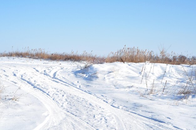 野原の雪に覆われた冬の道野外の深い雪葦の茂み