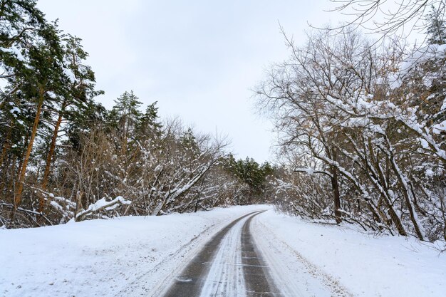 山の森の雪に覆われた冬道 美しい冬の風景