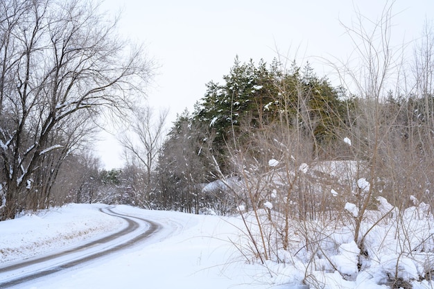 Snowy winter road in a mountain forest