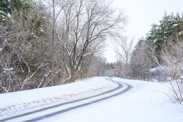 산 숲에서 눈 덮인 겨울 도로