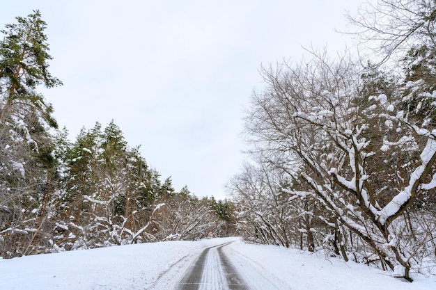 산 숲에서 눈 덮인 겨울 도로