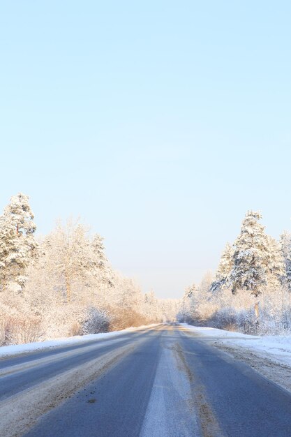 Снежная зимняя дорога через заснеженные поля и леса