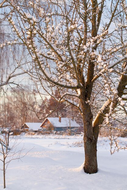 snowy winter rural landscape at sunset