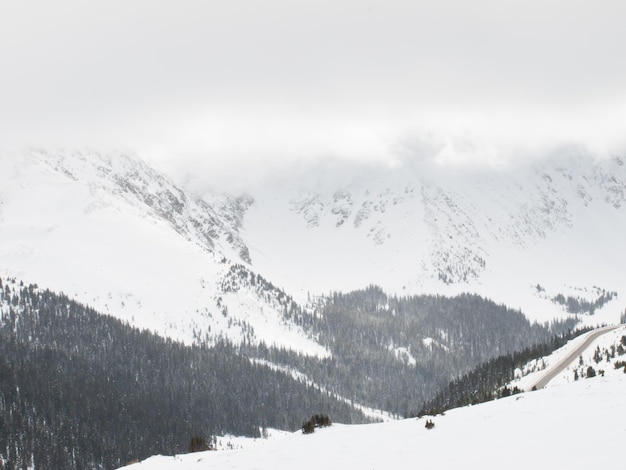 Snowy winter scene high in the mountain. Colorado Rocky Mountains USA.