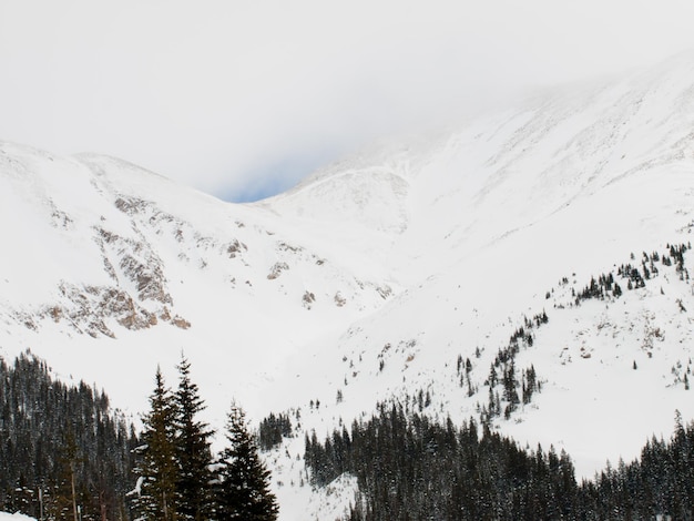 Snowy winter scene high in the mountain. Colorado Rocky Mountains USA.