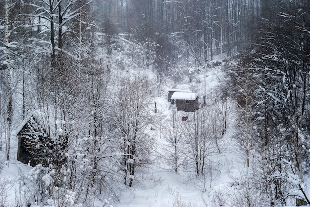 田園地帯の庭園と納屋と雪に覆われた樹木が茂った渓谷