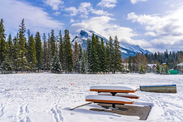 Snowy wooden bench in Banff Recreation Grounds in winter Banff National Park Canadian Rockies