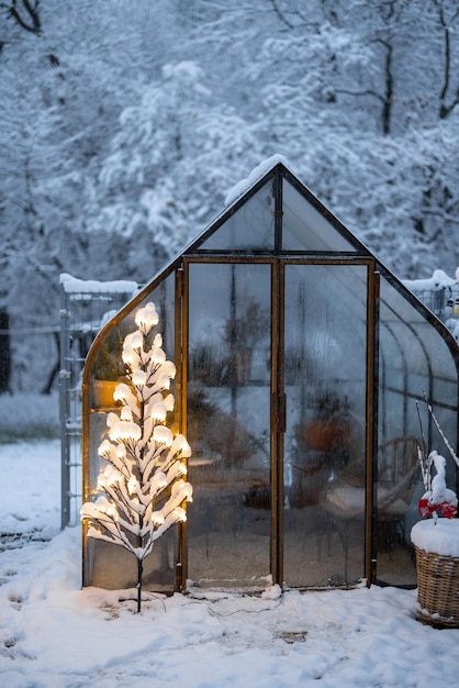 Snowy yard with glasshouse and glowing tree graland