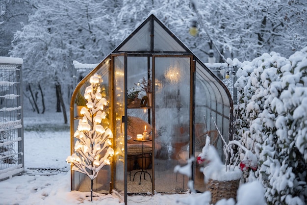 温室と輝く木のグラランドのある雪の庭