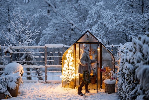 温室と輝く木のグラランドのある雪の庭