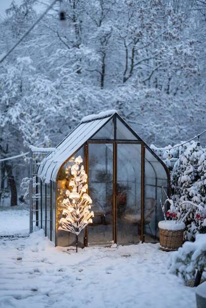 Snowy yard with glasshouse and glowing tree graland