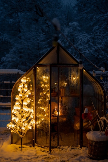 Snowy yard with glasshouse and glowing tree graland