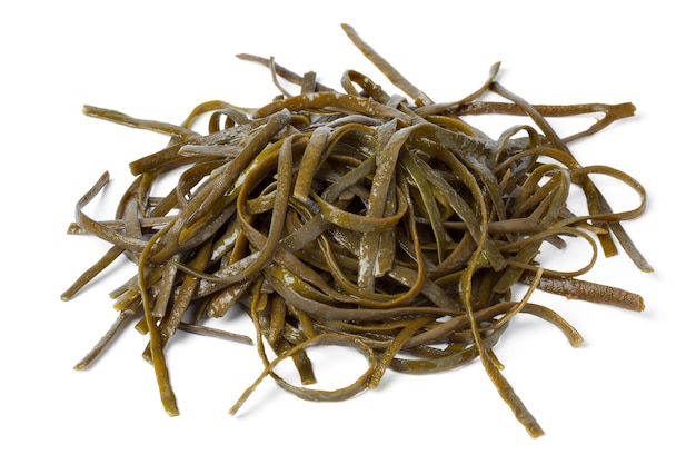 Soaked sea spaghetti