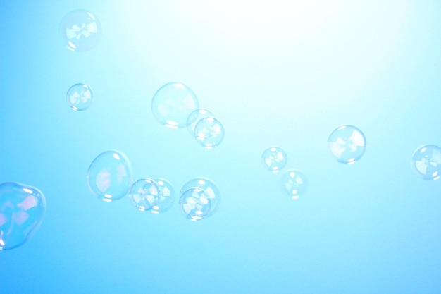 Soap bubble on blue background