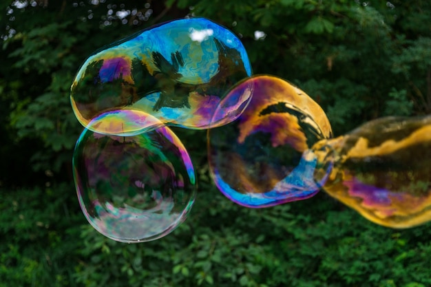 Soap bubble flies on a background of greenery