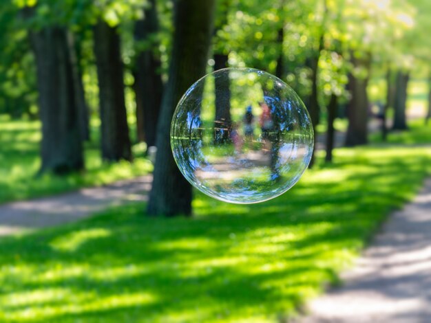 Soap bubble on a natural park