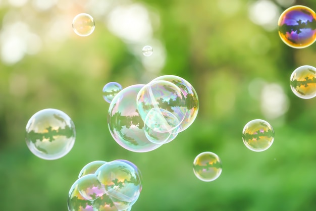 Soap bubbles on green nature