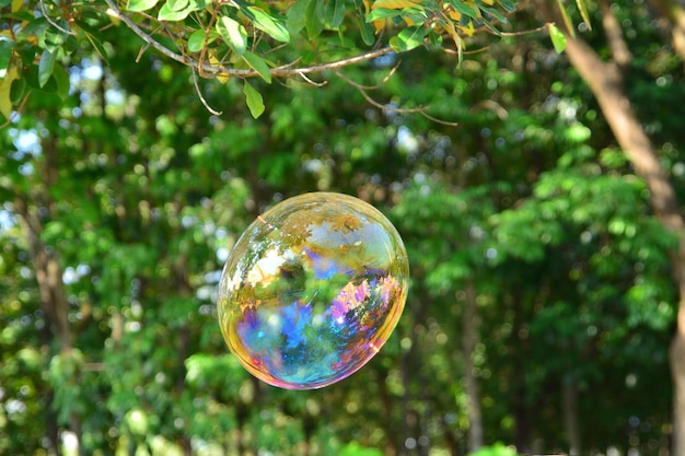 Soap bubbles