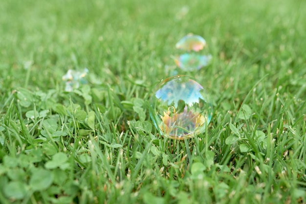 Soap transparent bubbles with reflection on lush green grass