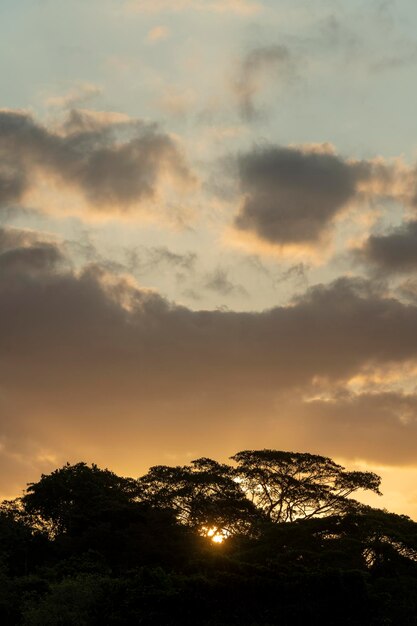 Soberania national park rainforest sunrise Panama Central America