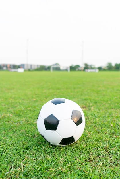 Футбольный мяч на фоне футбольного поля с копией пространства