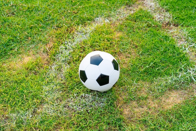 Soccer ball on the football field