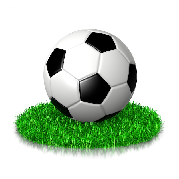 草 の 上 の サッカー ボール