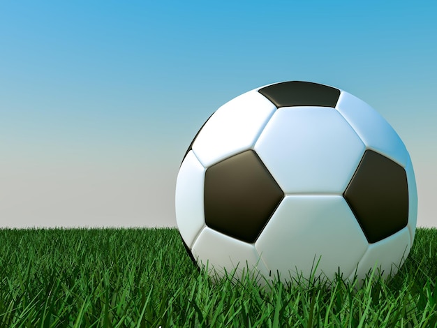 soccer ball in grass