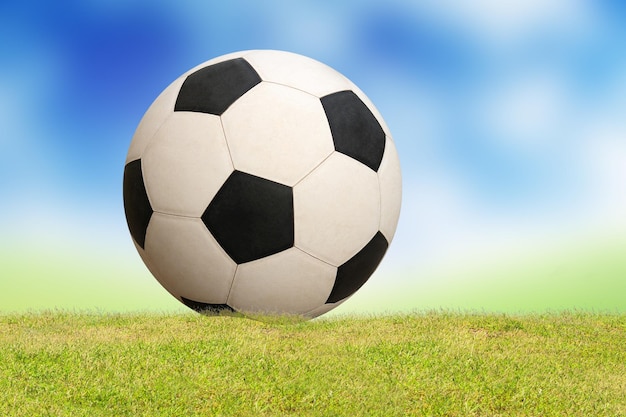 soccer ball on grass