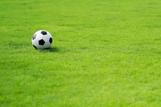 Soccer ball on green field