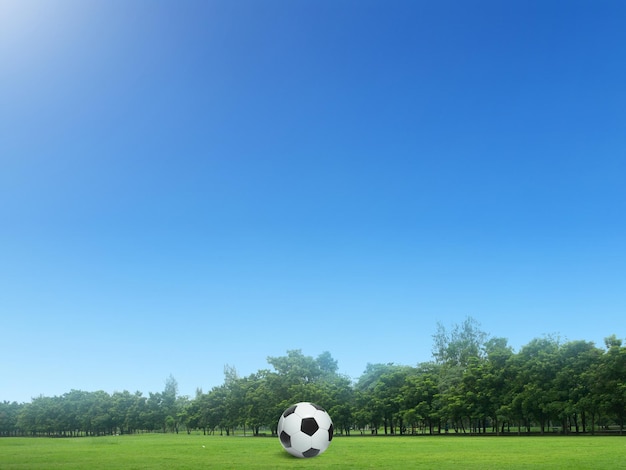 タイの美しいコースで緑の芝生にサッカー ボール 柔らかい日差しと朝の時間で緑のサッカー ボール コースでサッカー ボール