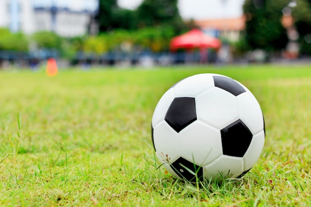 Pallone da calcio su erba verde con soft-focus e overlight in background