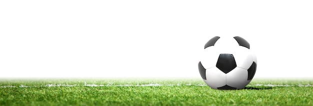 녹색 운동장에서 축구 공입니다. 축구 개념