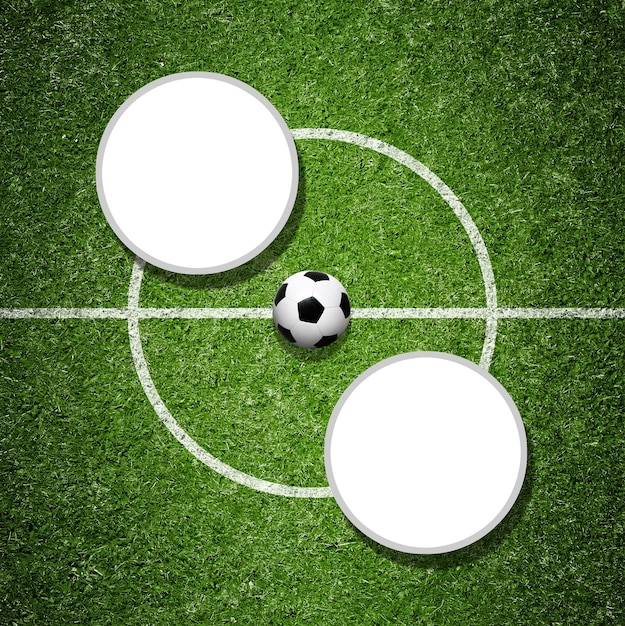 녹색 운동장에서 축구 공입니다. 축구 개념