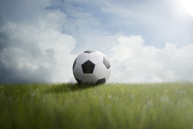 Soccer ball on the lawn