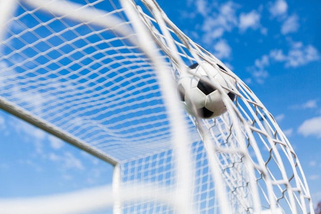 A Soccer Ball in a Net