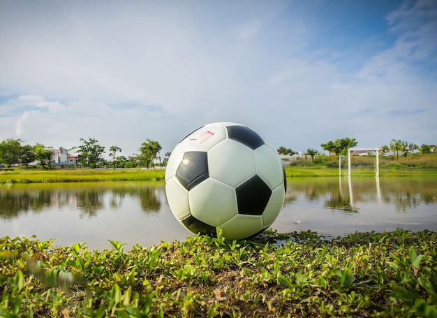 골대 앞 풀밭에 축구공이 놓여 있다.