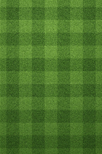 Soccer field or Football field on green grass background