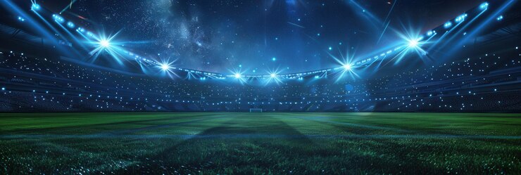 サッカー場は星空の下で明るい光で照らされています