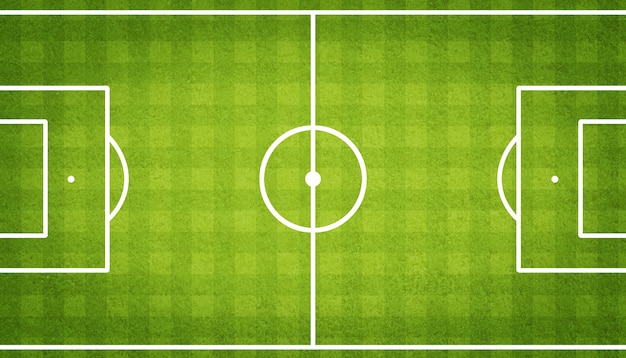 soccer field with green grass. sport lawn background