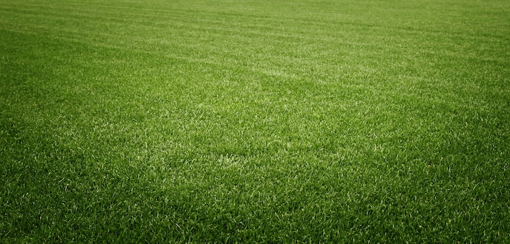 Photo soccer field with green grass. sport lawn background