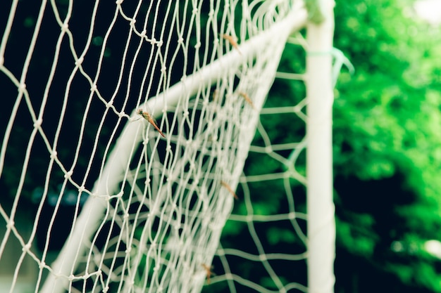 Soccer football goal through the net.