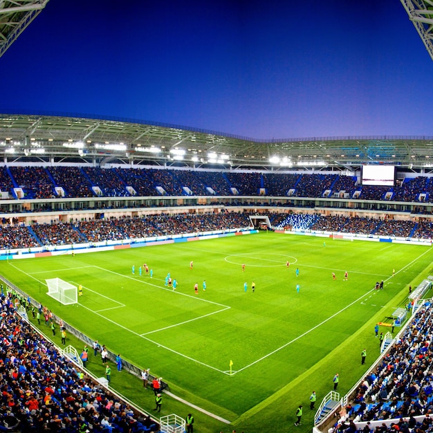 Soccer stadium arena with natural green grass